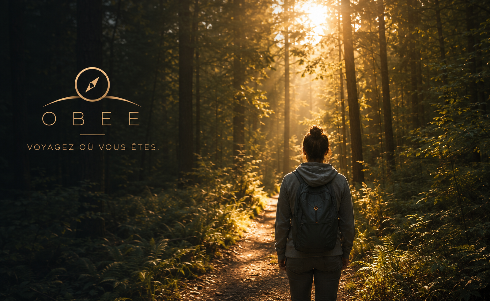 Sentier baigné de lumière dans une forêt